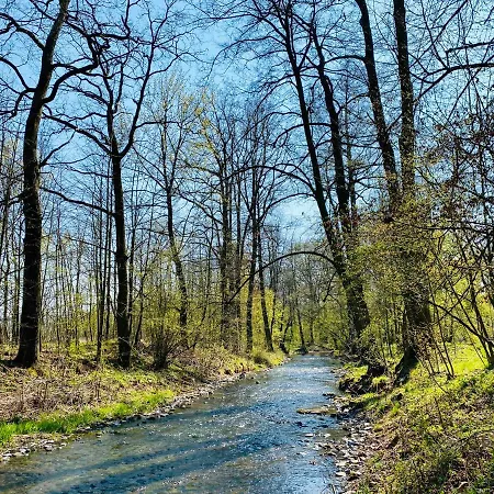 Zamek Sarny - Schloss Scharfeneck * クウォツコ